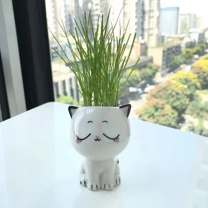 Mini Cat Ceramic Planter – Cute Desktop Flower Pot for Home & Office Décor