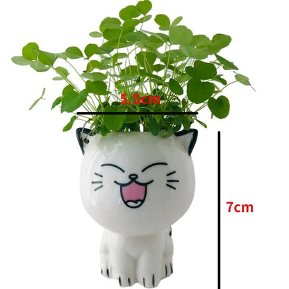 Mini Cat Ceramic Planter – Cute Desktop Flower Pot for Home & Office Décor